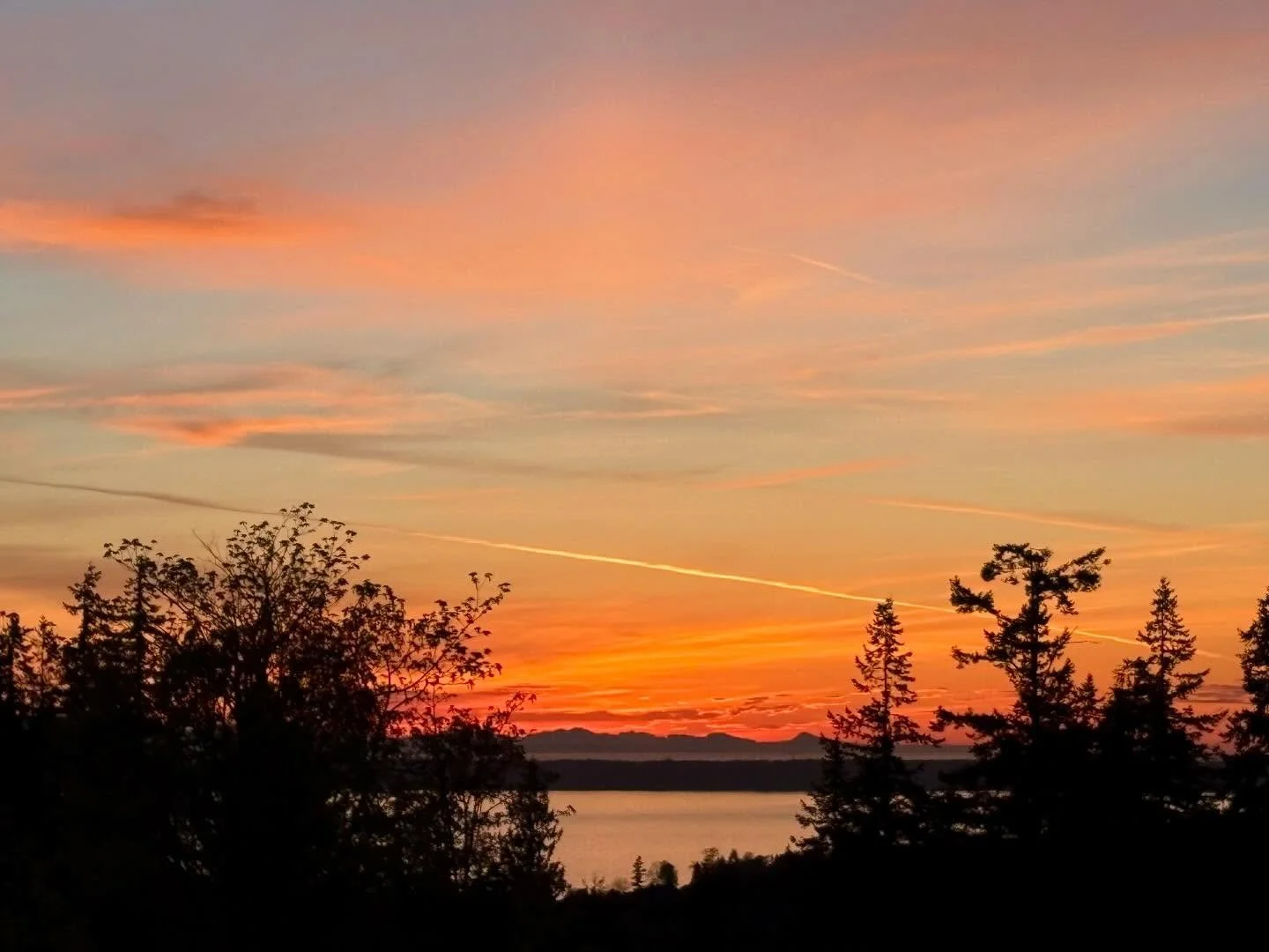 The sky put on a great show on Sunday (4/19) with some incredible orange hues, and the crescent moon even made an appearance! 🌅🌙