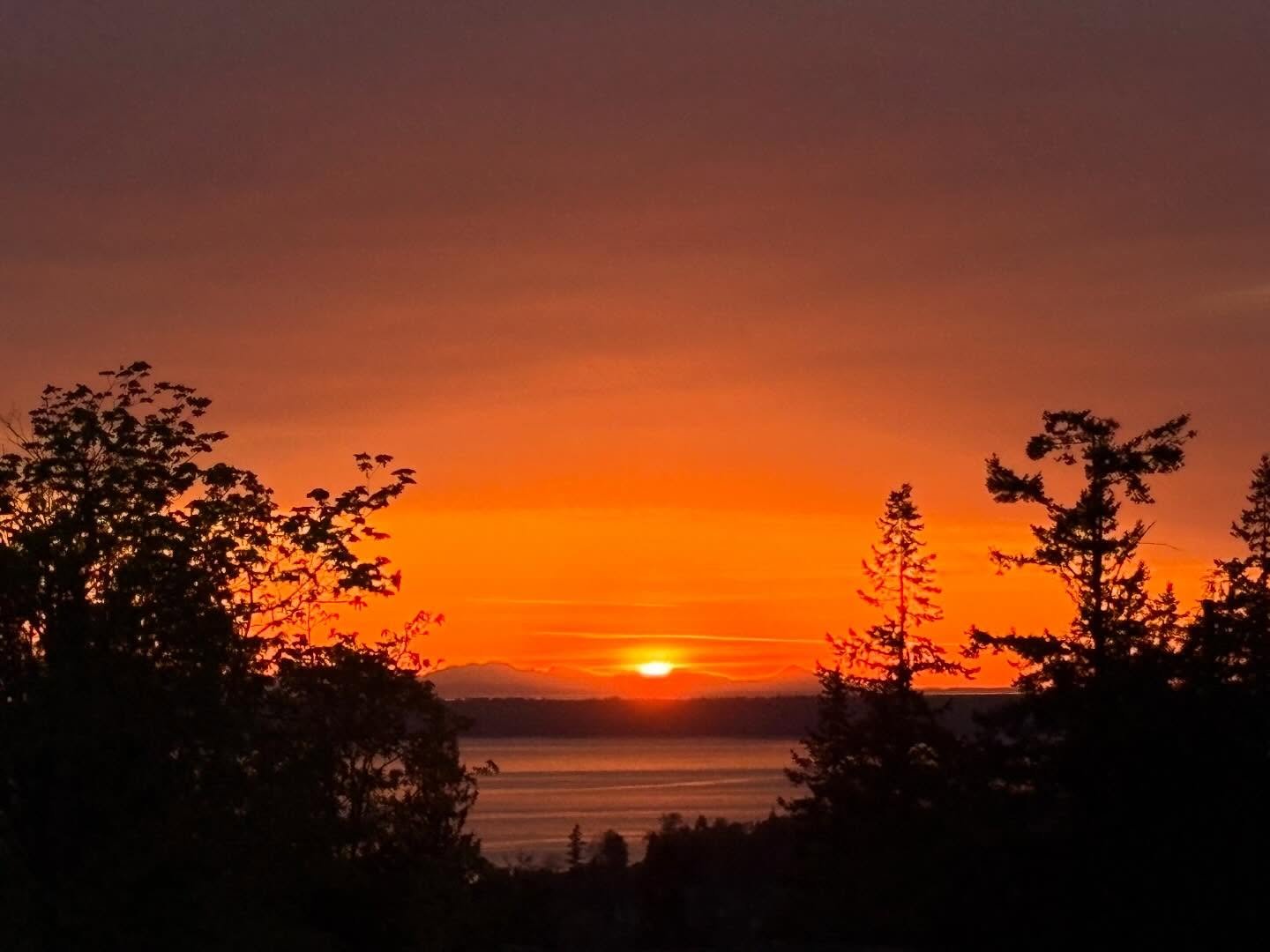 Saturday&rsquo;s sunset was incredible! I knew from the moment golden hour started that it would be a good one from the cloud formations. As the sun sunk on the horizon, the colors just got deeper and deeper and the clouds were ablaze in orange. Wait