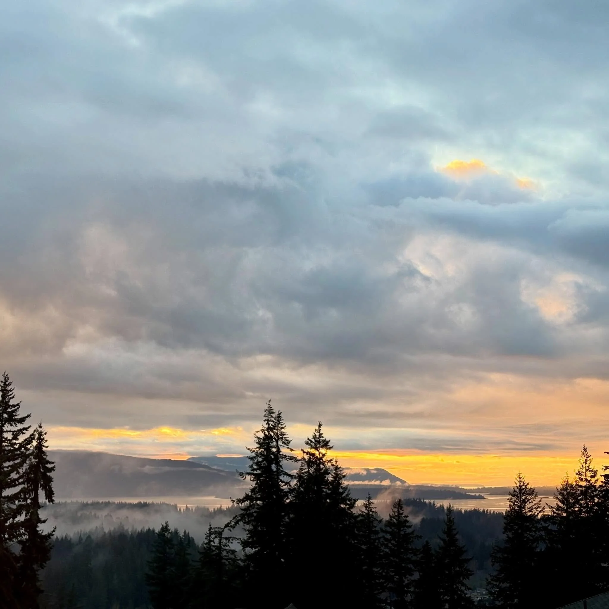 On this #flashbackfriday, I&rsquo;m posting some of my favorite shots of the foggy and dramatic sunset on March 4th! 🌅