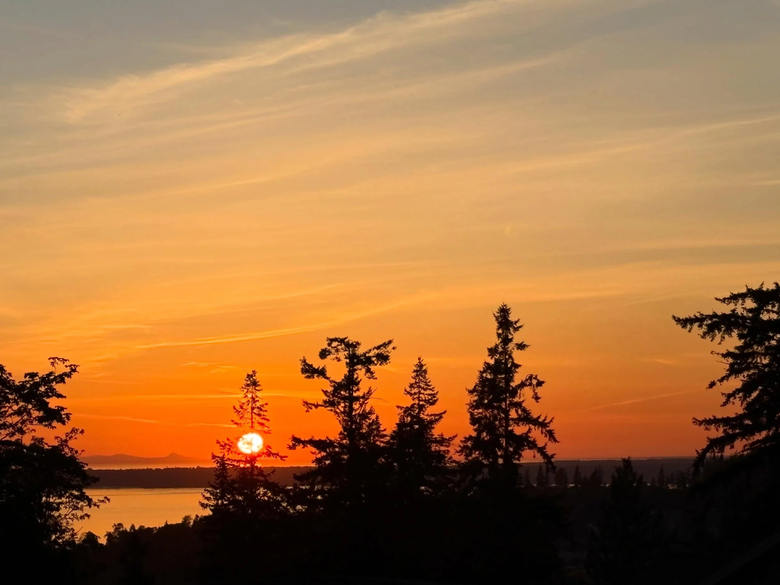 I really enjoyed the sun setting part of Sunday&rsquo;s sunset (5/03)! First the sun went down in the tree, which I thought was a cool capture as the fire ball looks like it&rsquo;s part of the tree, then watching the sun turn into the sliver between