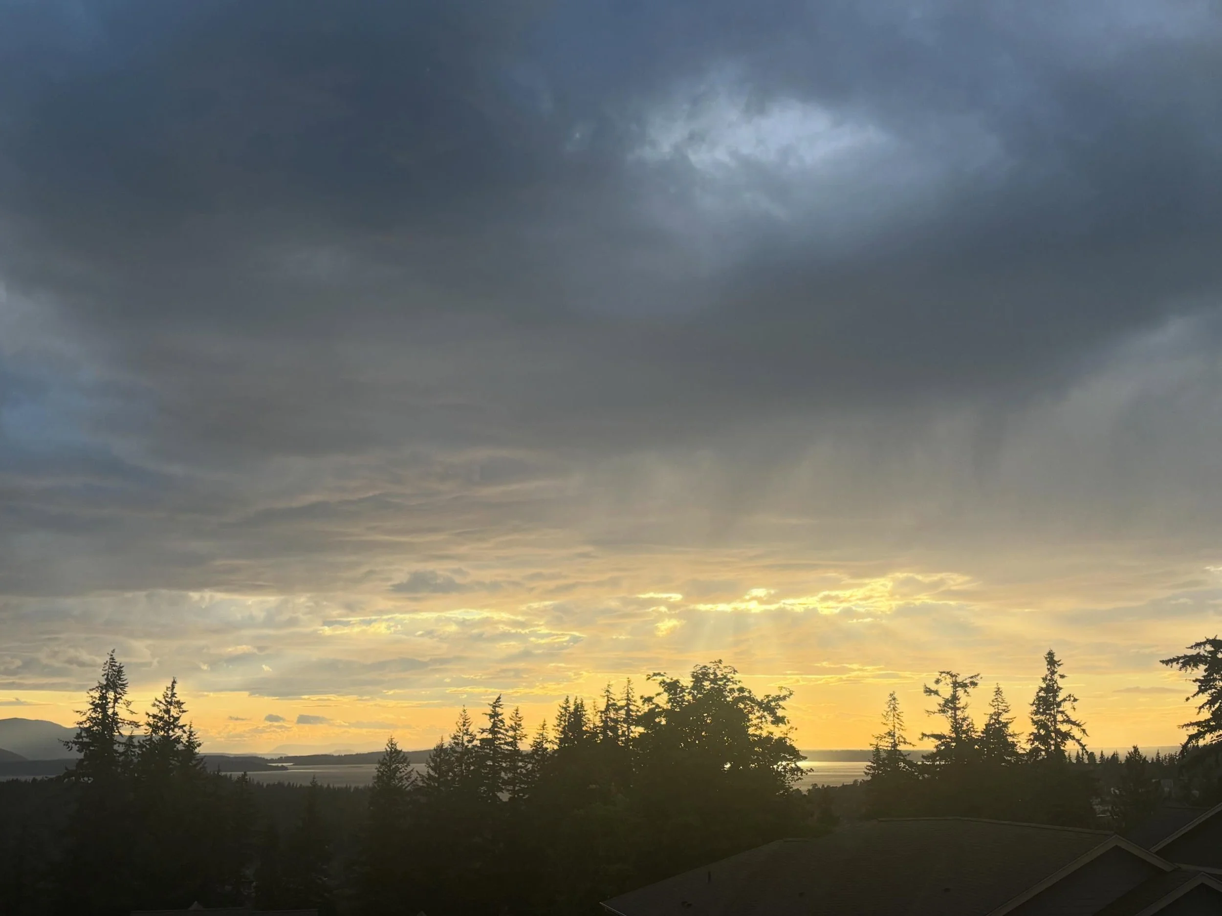 It rained all day yesterday but then the clouds broke open at golden hour and let some sun in! ⛅️