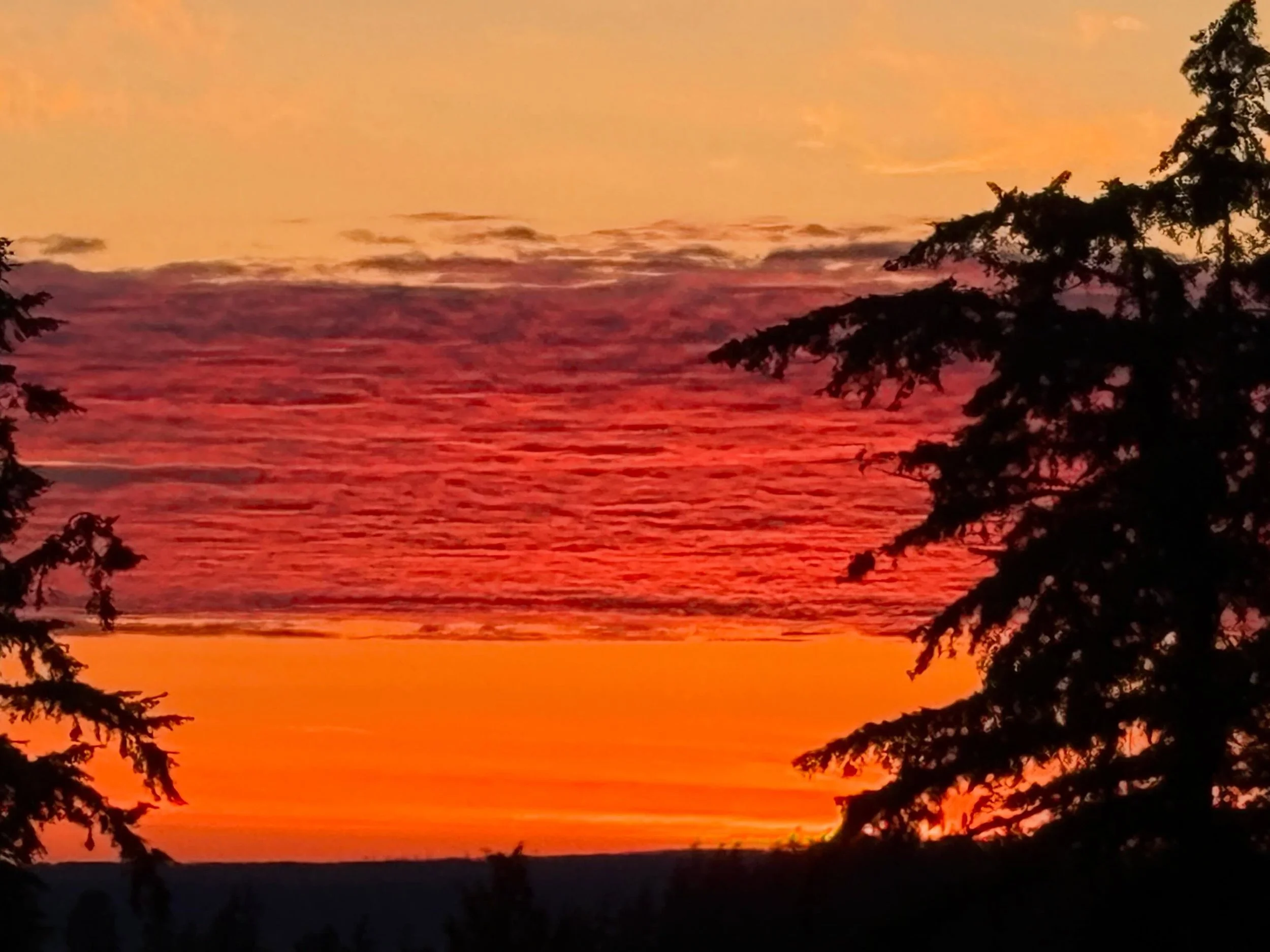 The sunset this past Tuesday (5/26) was incredible! That cloud layer burst into color after the sun went down and it was beyond magical! The texture and color was even better to the naked eye that I couldn&rsquo;t quite capture with my iPhone. 🌅