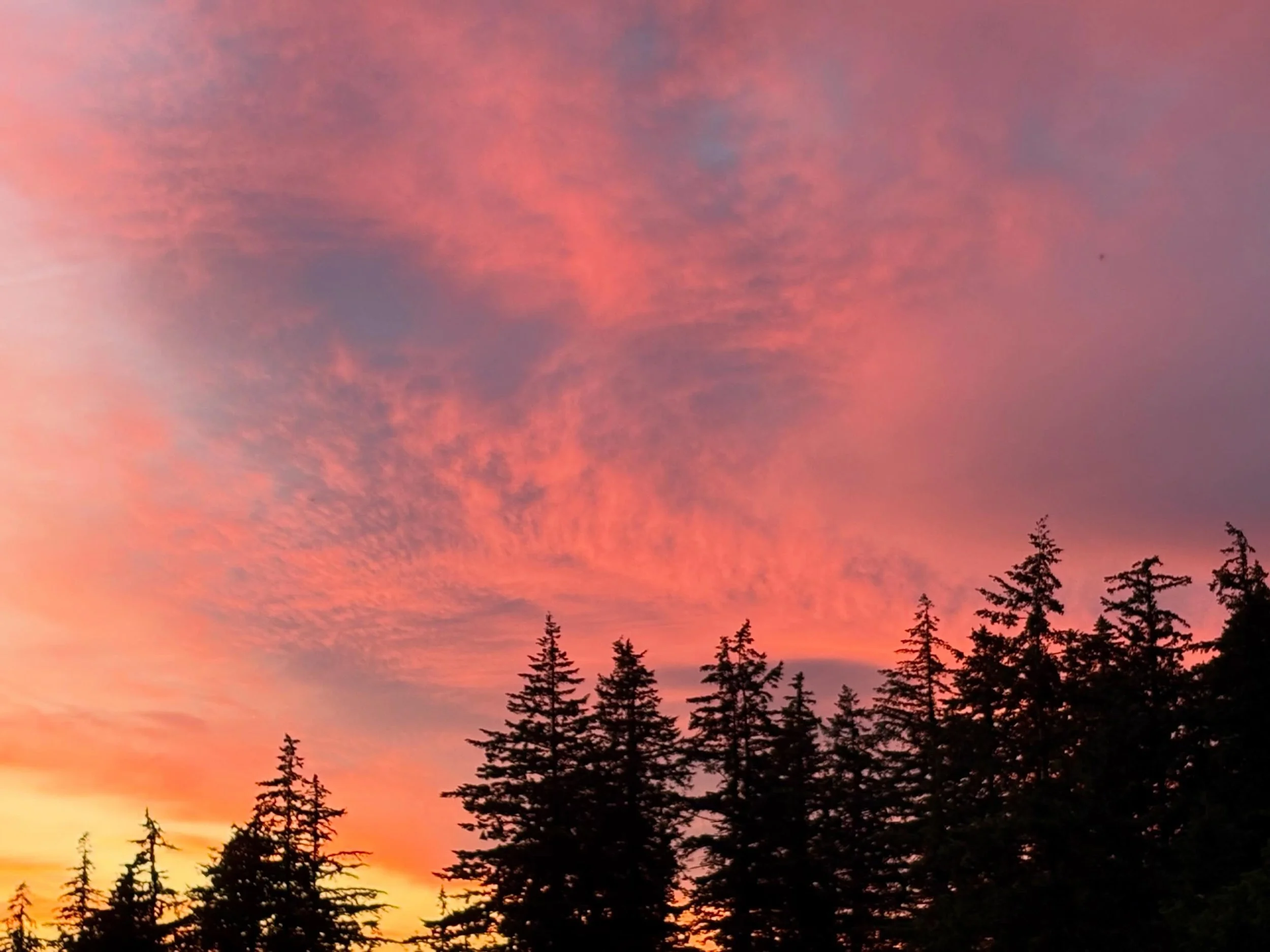 I came home last night just in time to see this incredible sunset and I&rsquo;m so glad I didn&rsquo;t miss it! That cloud over the trees lit up like cotton candy and was beyond stunning! 🌅