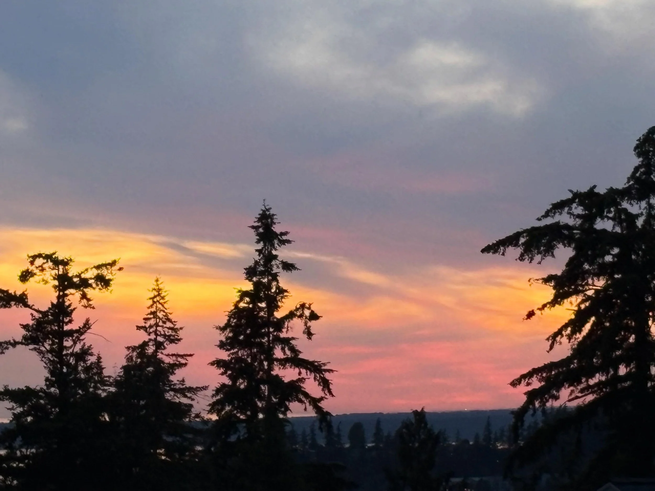 I thoroughly enjoyed the bright pink that made its appearance at the end of the sunset this past Tuesday June 2nd! The sunset started off orange but then slowly changed hues to pink and that ending really popped! 🌅🩷