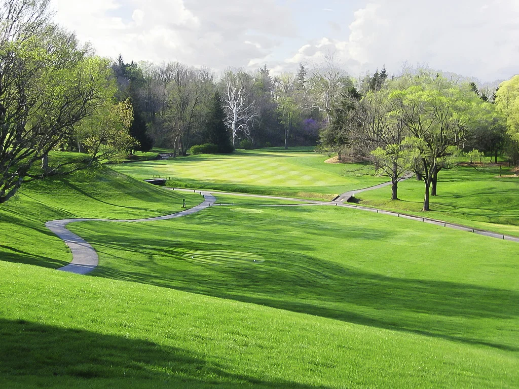 Book Us For Your Event