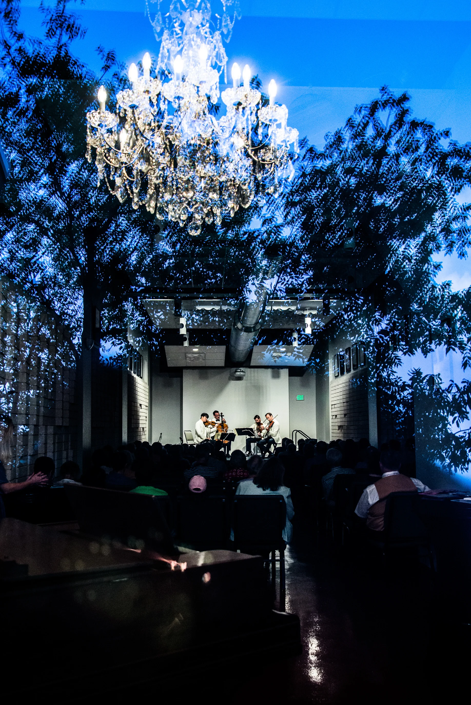 Miro Quartet, through the window of Ambler Hall, 2017