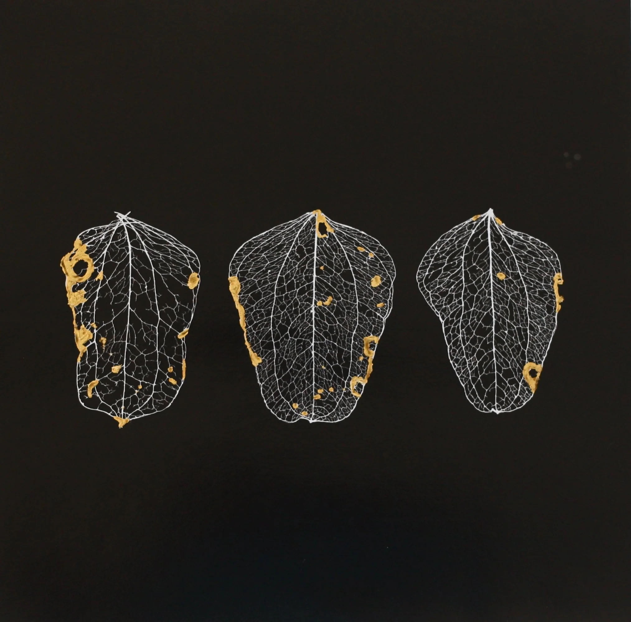 Gold Leaf Skeleton, Triple I.jpg