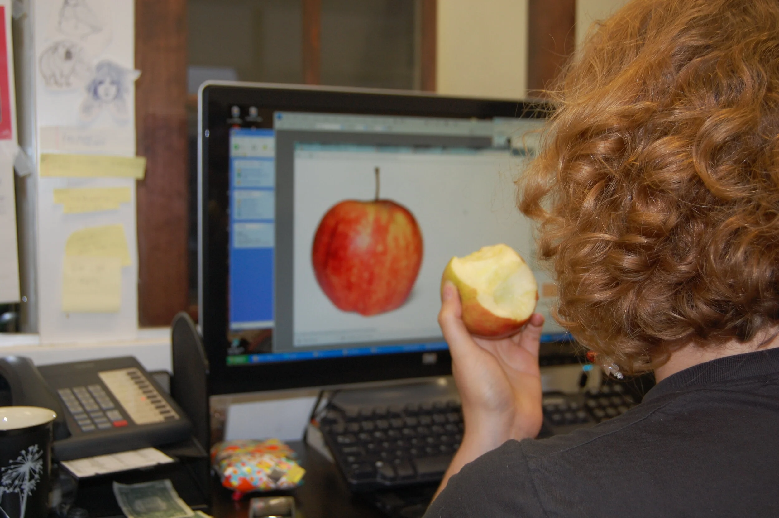 Apple to Apple.JPG