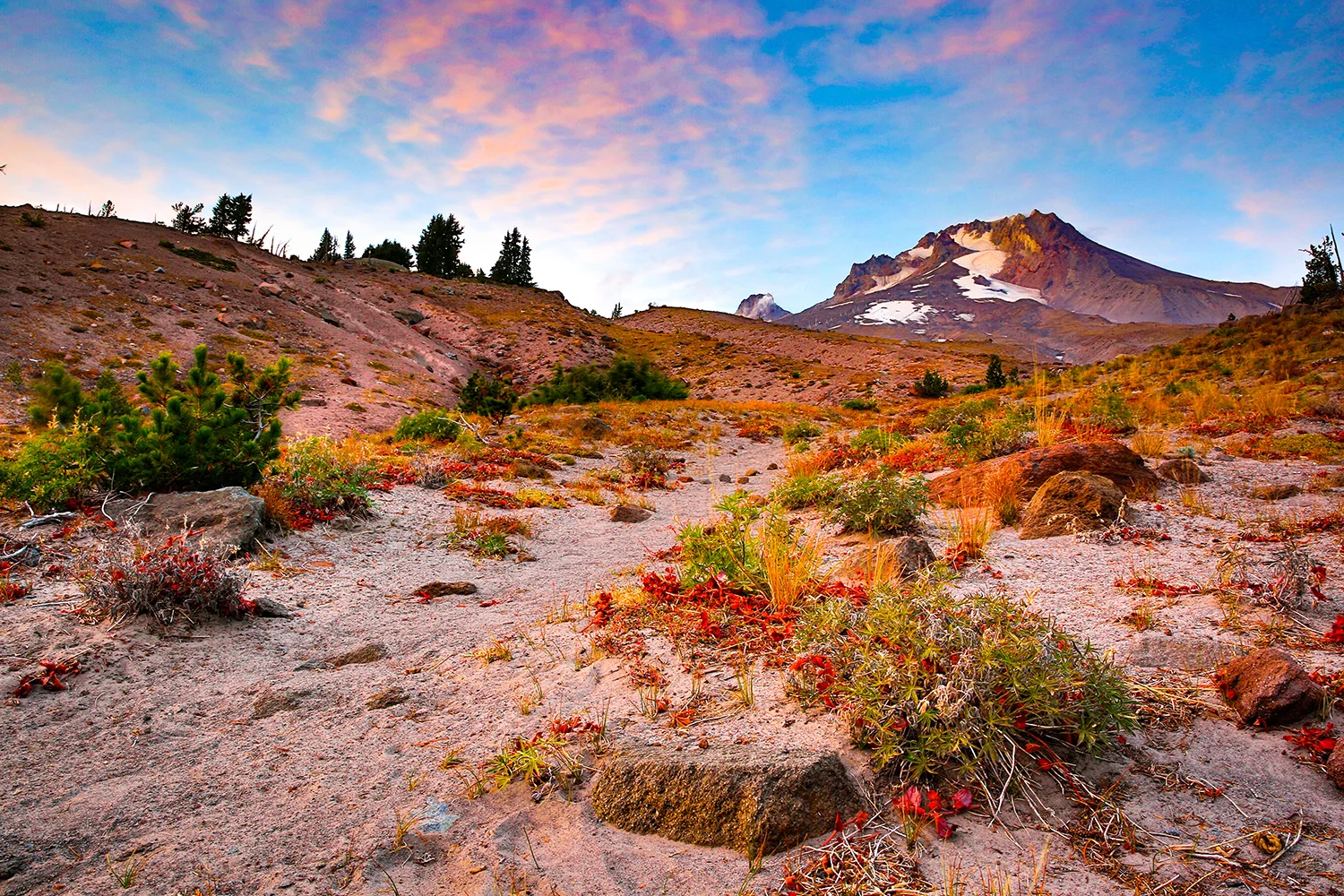 Mt Hood. October. 2016