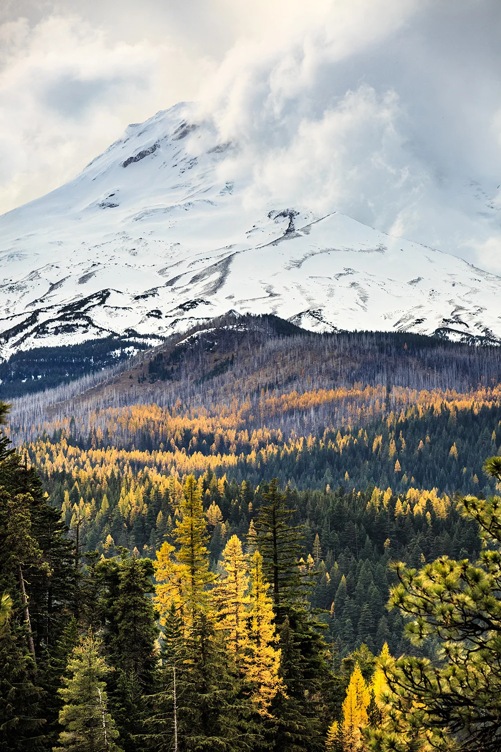 First Snow on Mt Hood. 2016.