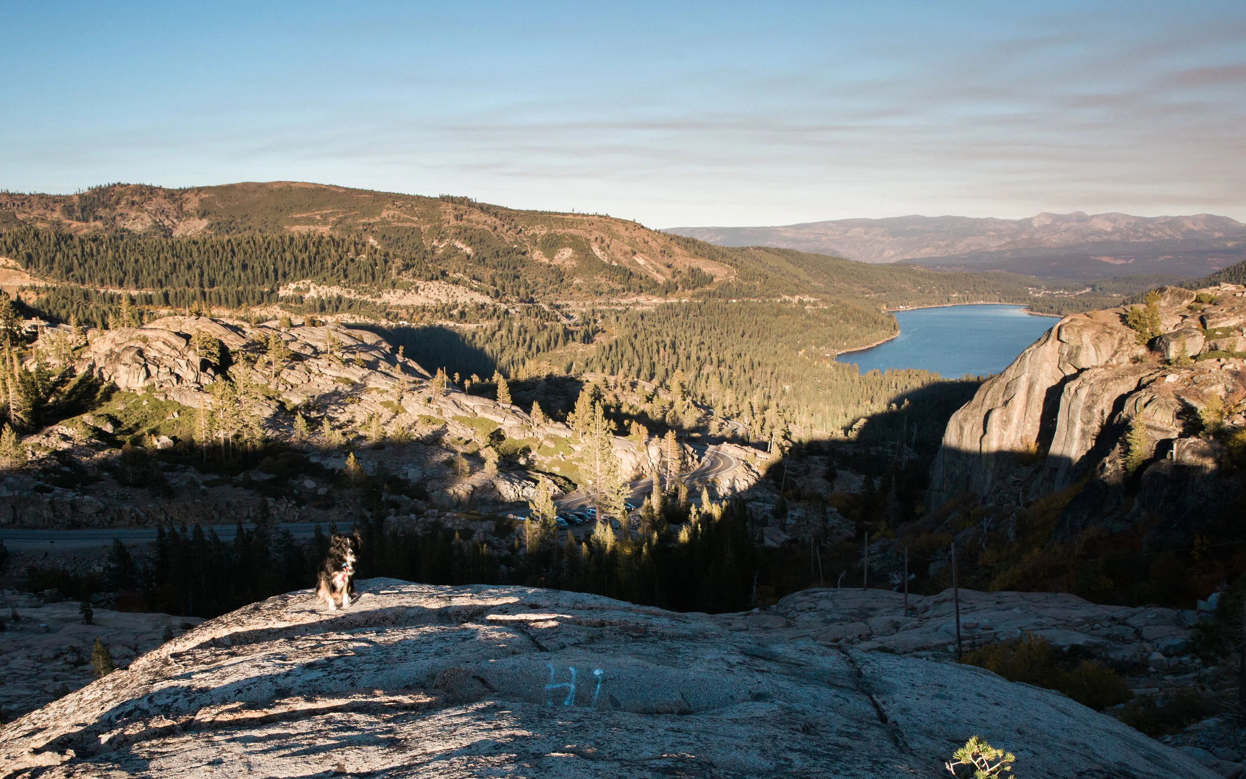 Cora enjoys a look at Donner Lake. 2017.