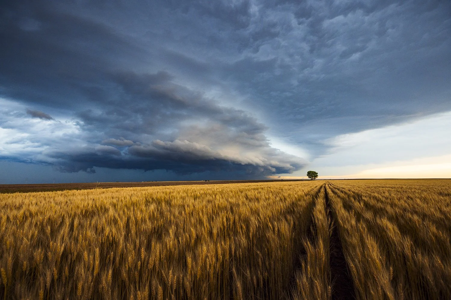 ETidwell_05.28.25_StormChasing-5344resize.jpg