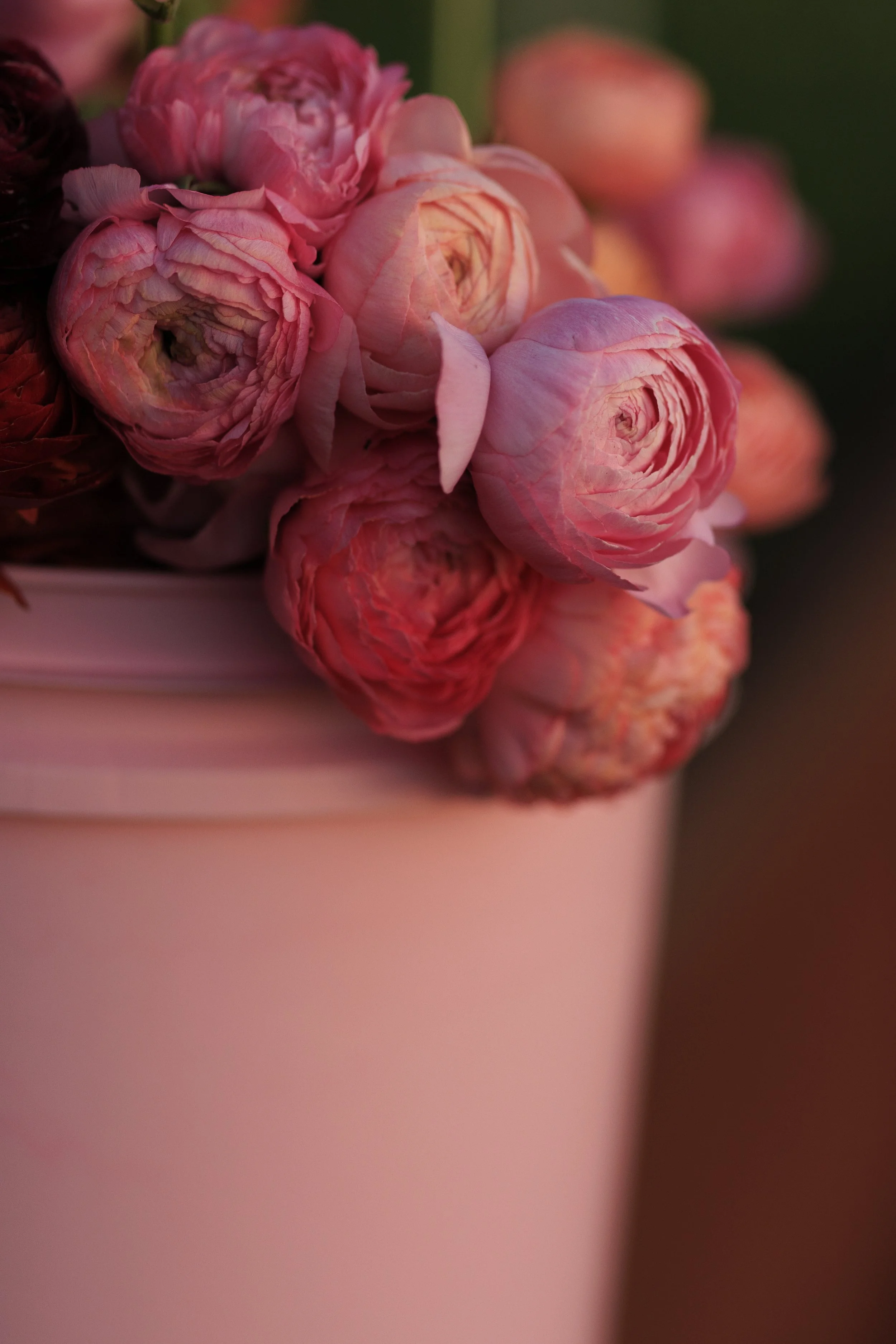 4.30.26_Tiffany.EarthandSeeds_Tidwell-7756.jpg