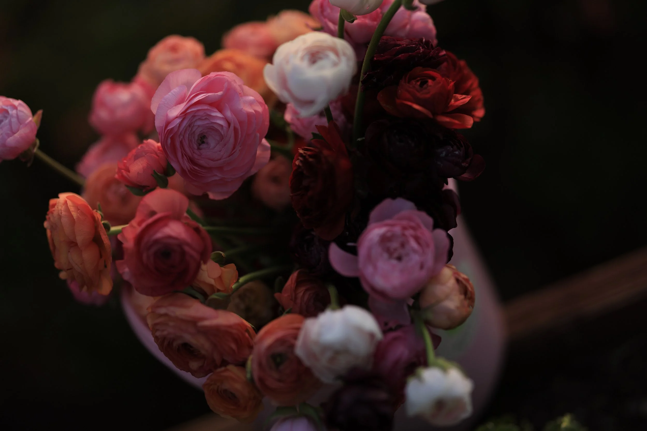 4.30.26_Tiffany.EarthandSeeds_Tidwell-7618.jpg