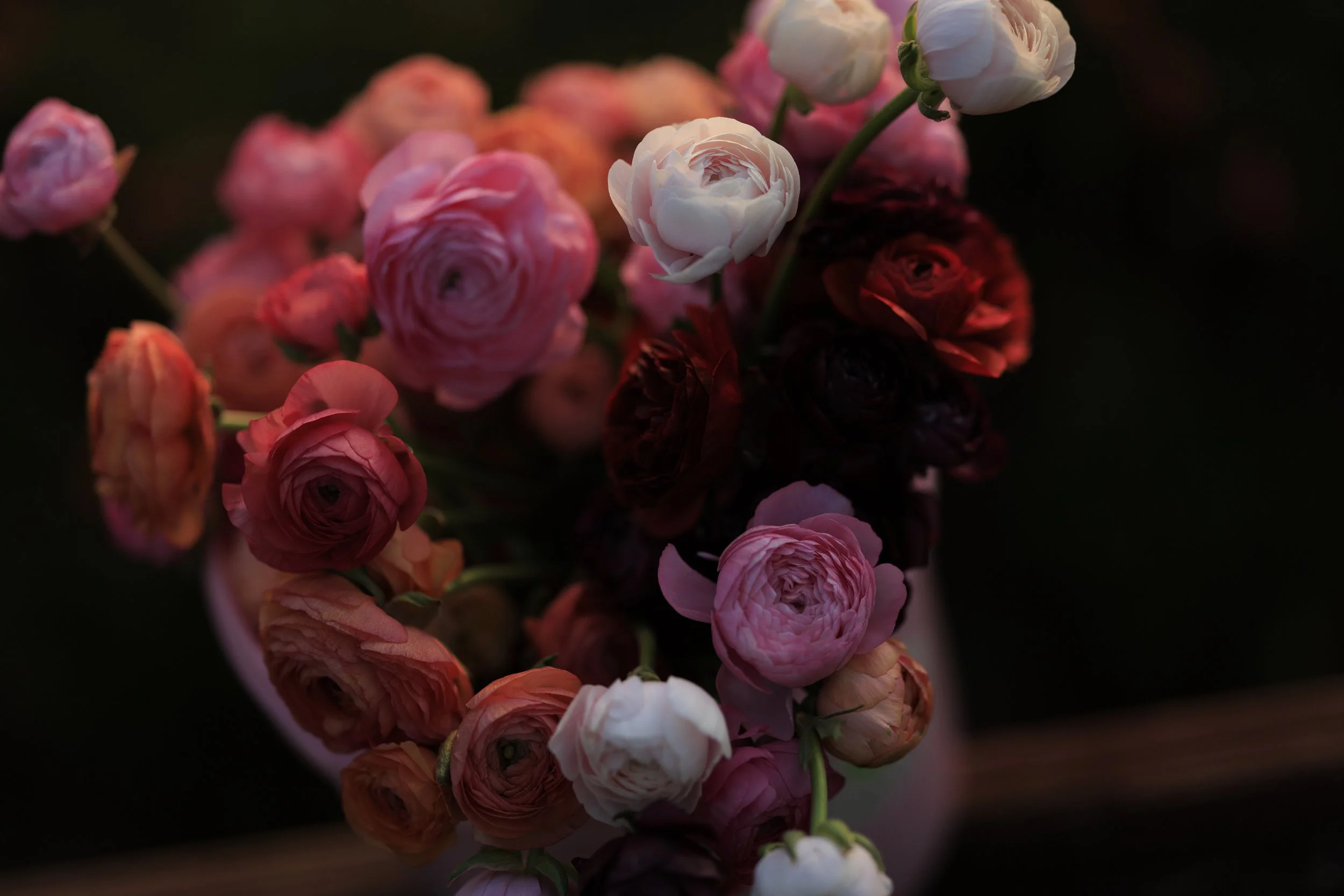 4.30.26_Tiffany.EarthandSeeds_Tidwell-7614.jpg