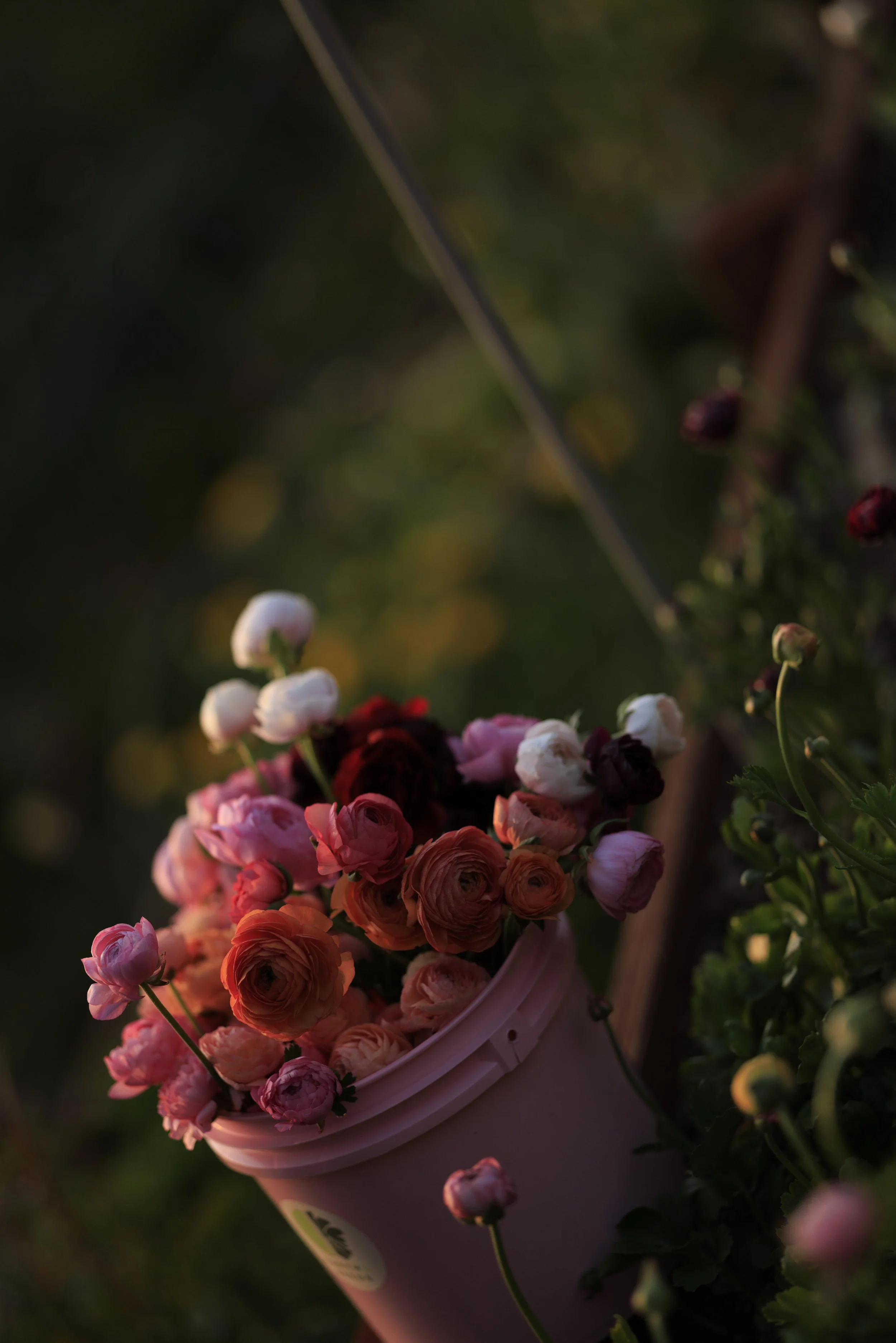 4.30.26_Tiffany.EarthandSeeds_Tidwell-7611.jpg