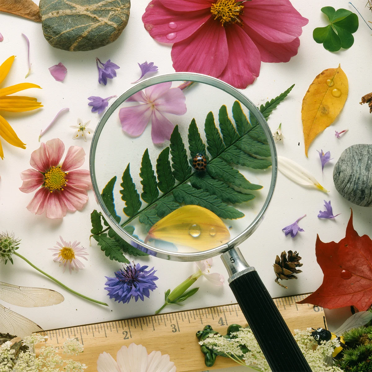 Hints for hard to find objects