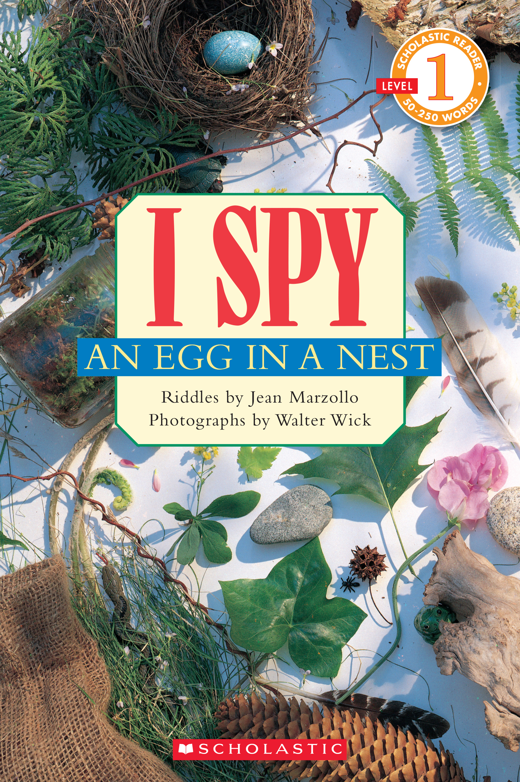 I SPY An Egg In A Nest