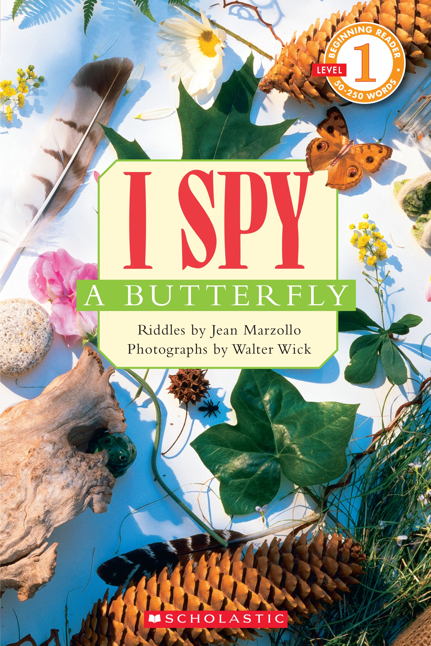 I SPY A Butterfly
