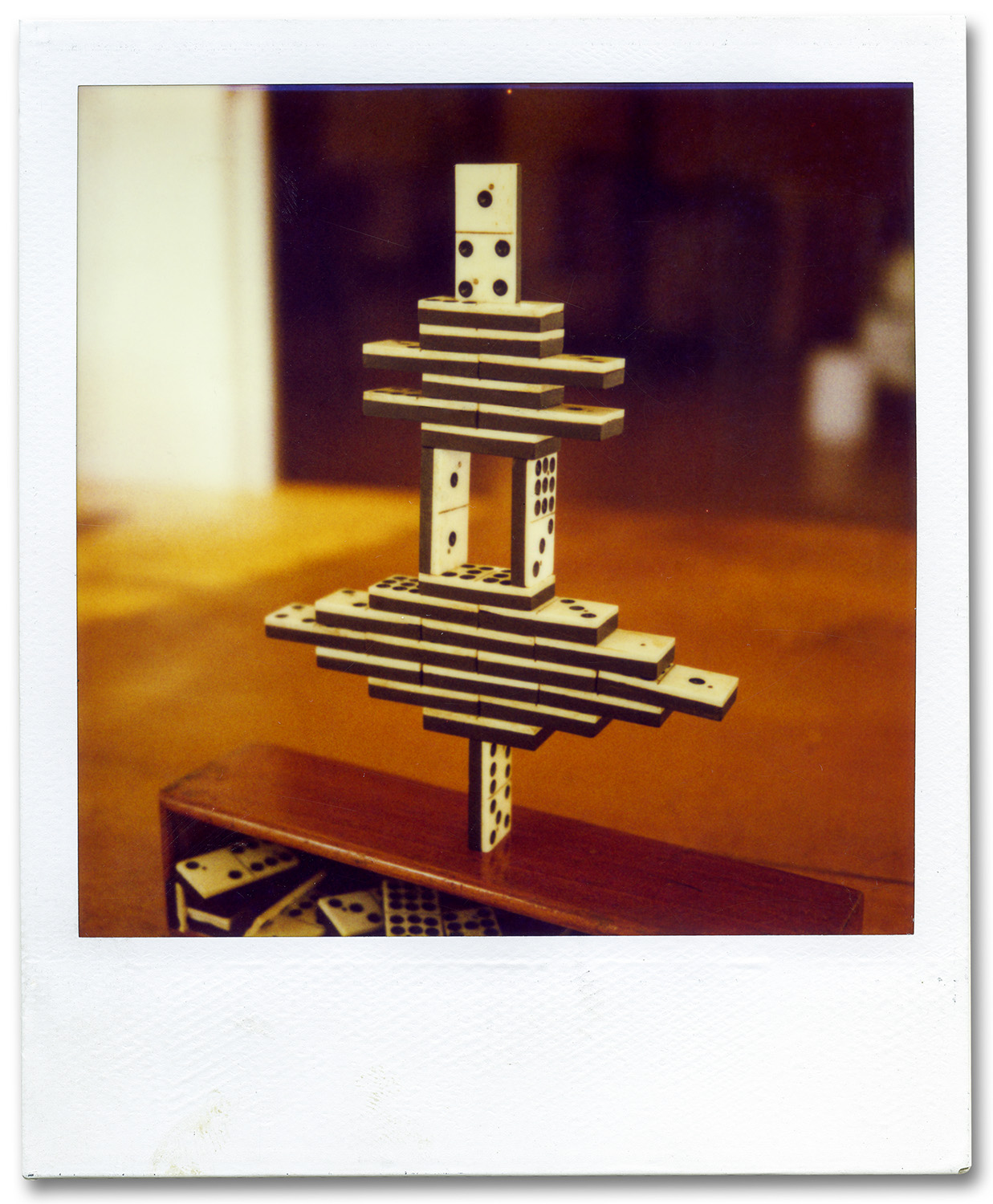SX-70 Polaroid, ©1988 Walter Wick