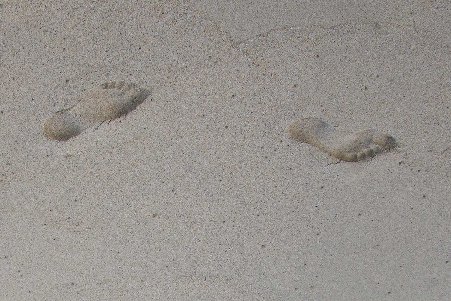 footprints2invert.jpg