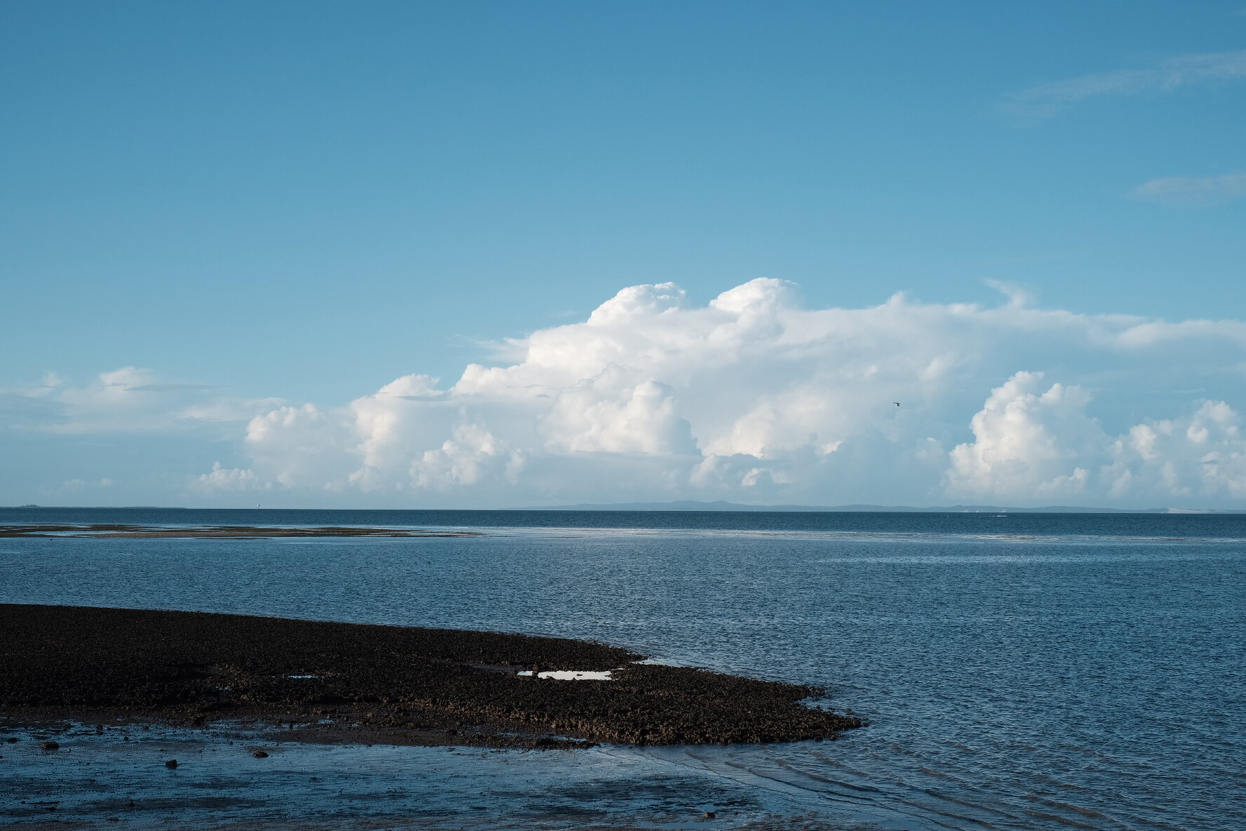 Wellington Point