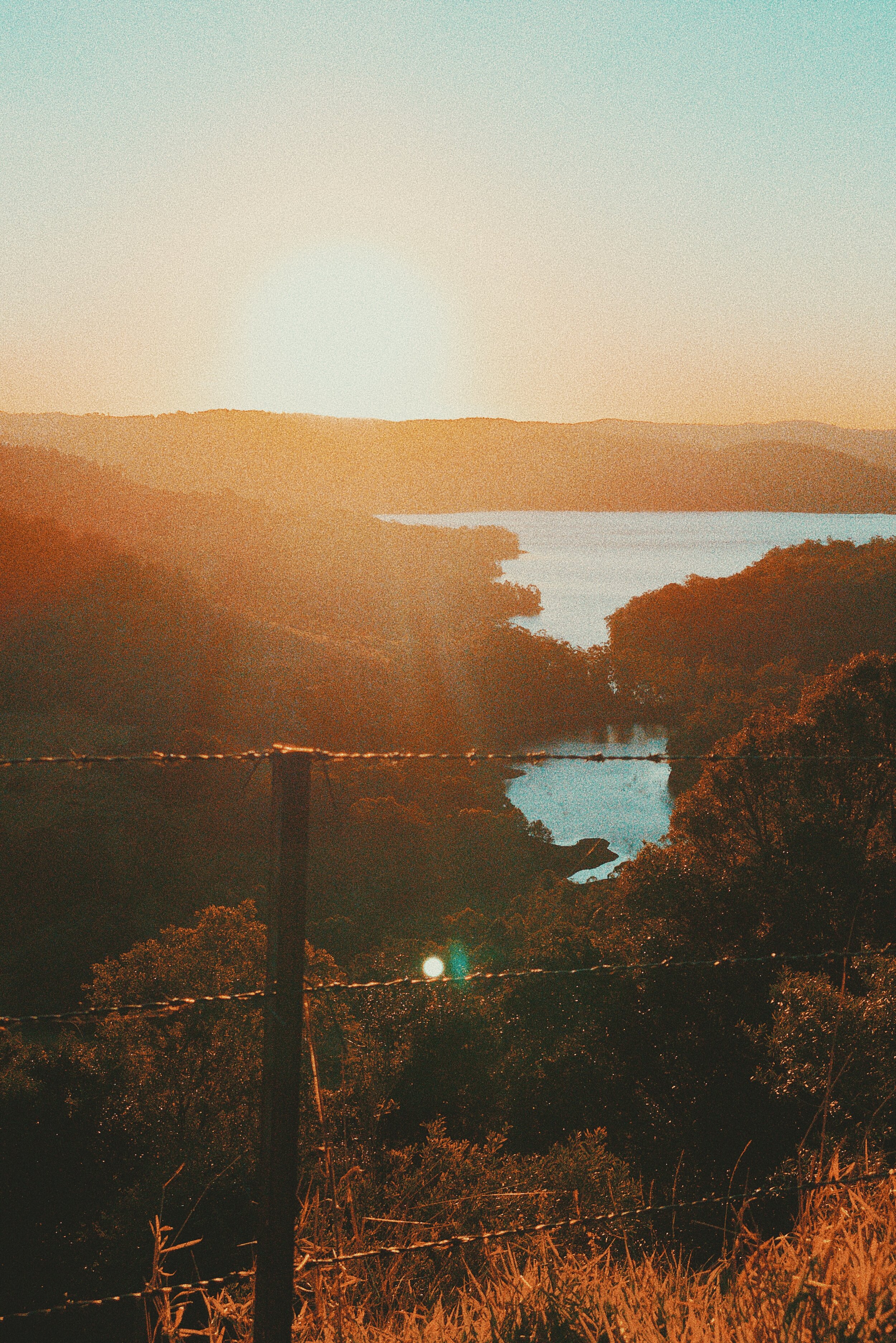 BD869734-B95D-4986-A4E9-38B9C0FFE8E3.jpeg