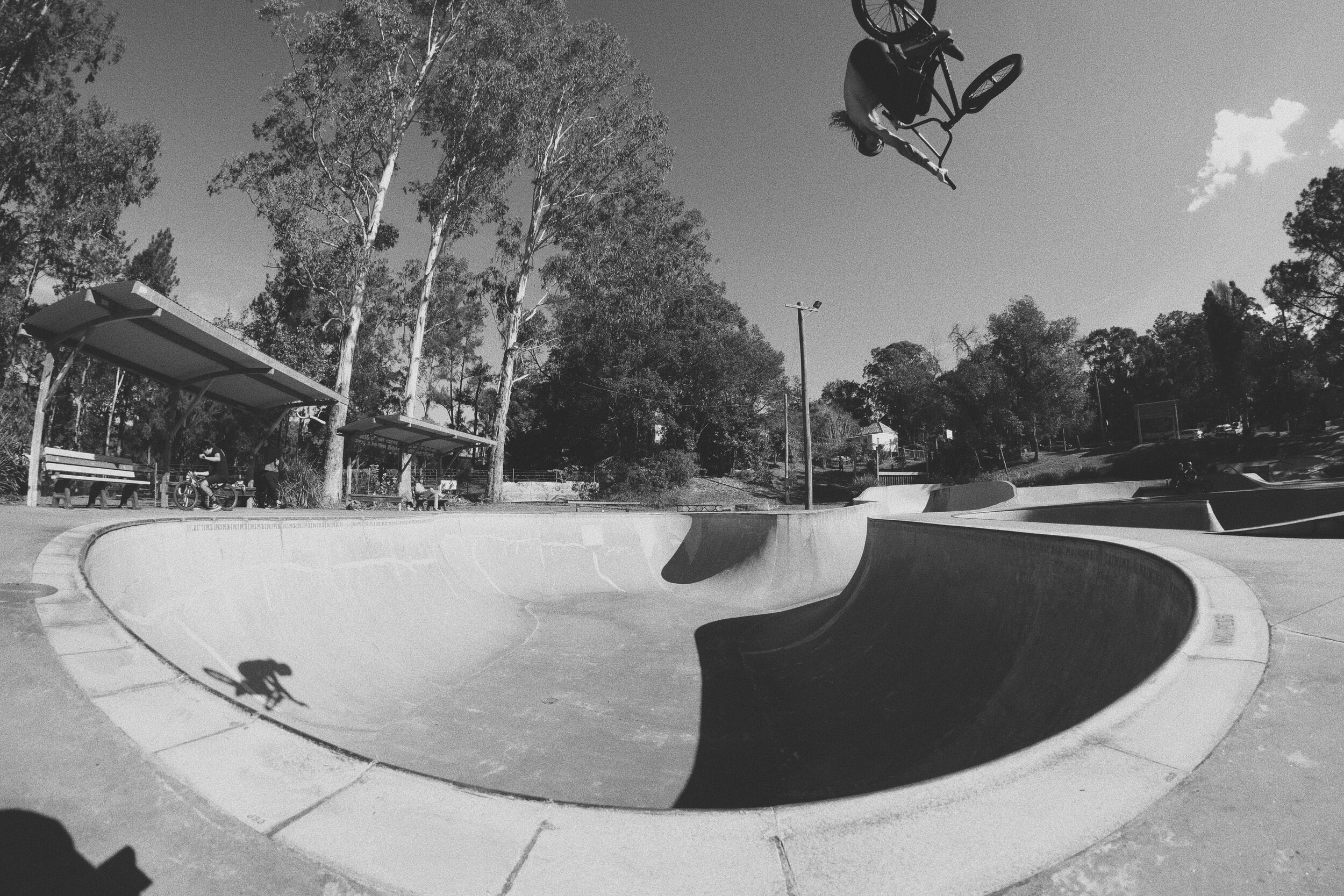 Polard, Nimbin