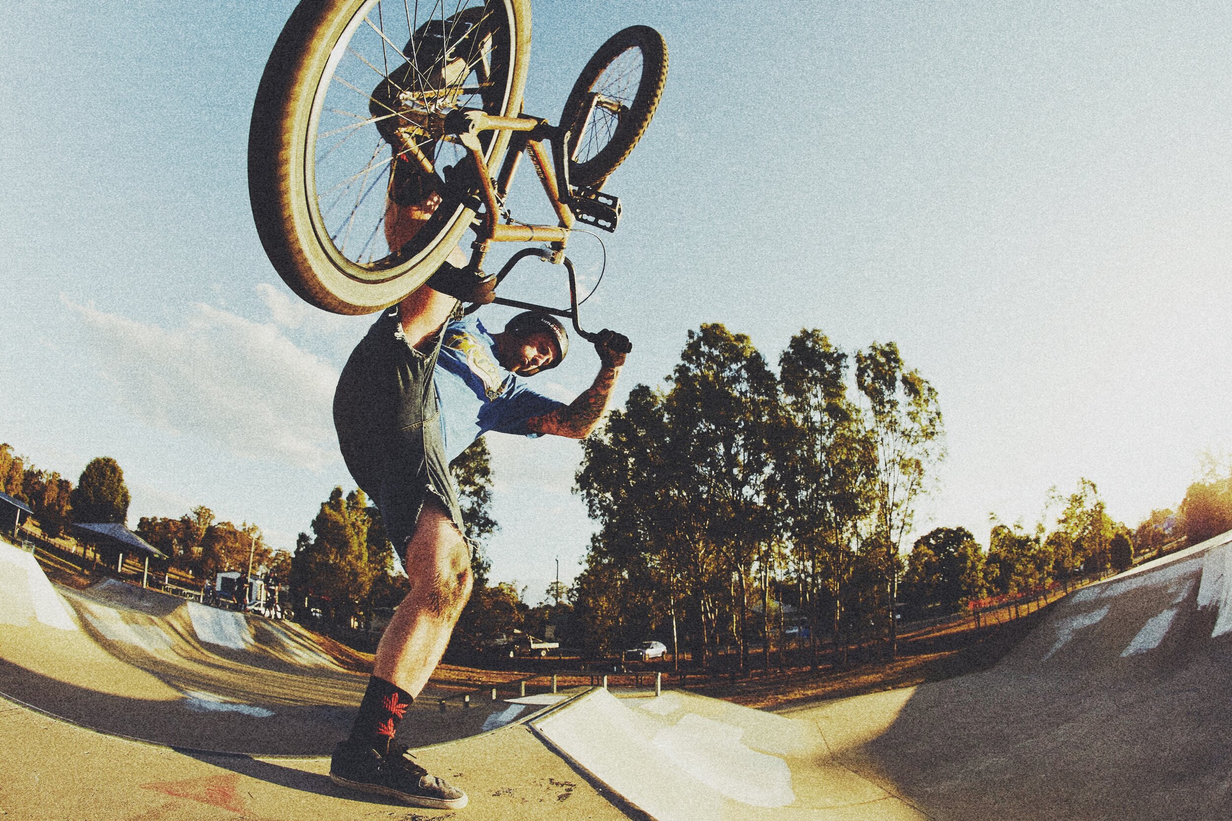 Brenno - Fast Plant