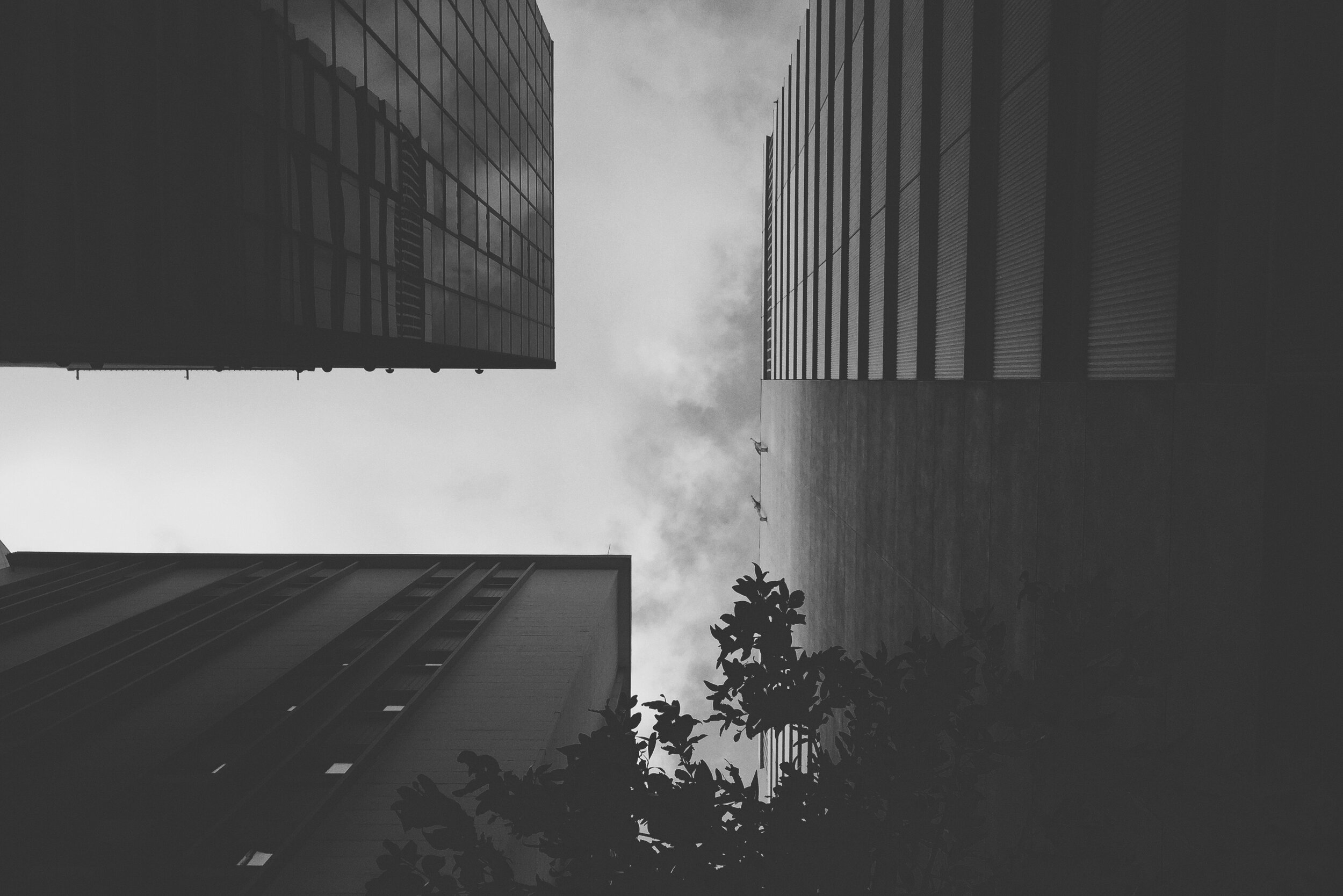 Look Up