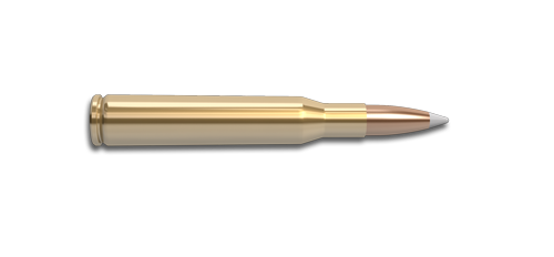 NoslerCustom 270 Win Ammunition Cartridge