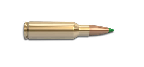NoslerCustom 300 SAUM Ammunition Cartridge