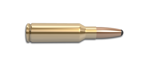 NoslerCustom 300 SAUM Ammunition Cartridge