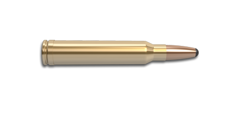 NoslerCustom 300 Win Mag Ammunition Cartridge