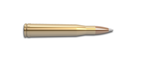 NoslerCustom 300 H&H Mag Ammunition Cartridge