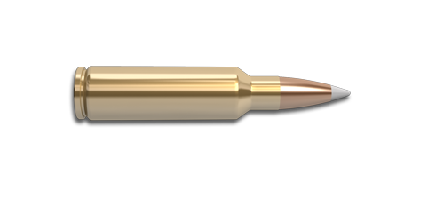 NoslerCustom 325 WSM Ammunition Cartridge