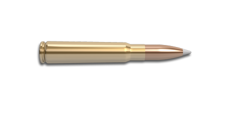 NoslerCustom 8mm Ammunition Cartridge