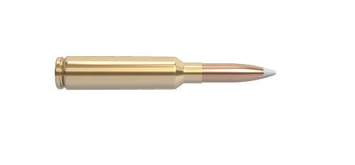 NoslerCustom 6.5-284 Norma Ammunition Cartridge