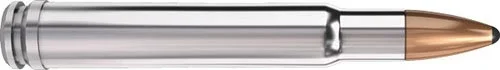 Nosler Partition and Brass