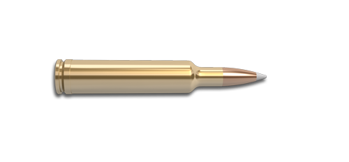 257 Weatherby Magnum Nosler Bullets Brass Ammunition Rifles