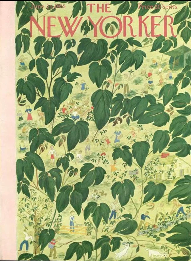Poison Ivy | The New Yorker June 1955 | Ilonka Karasz