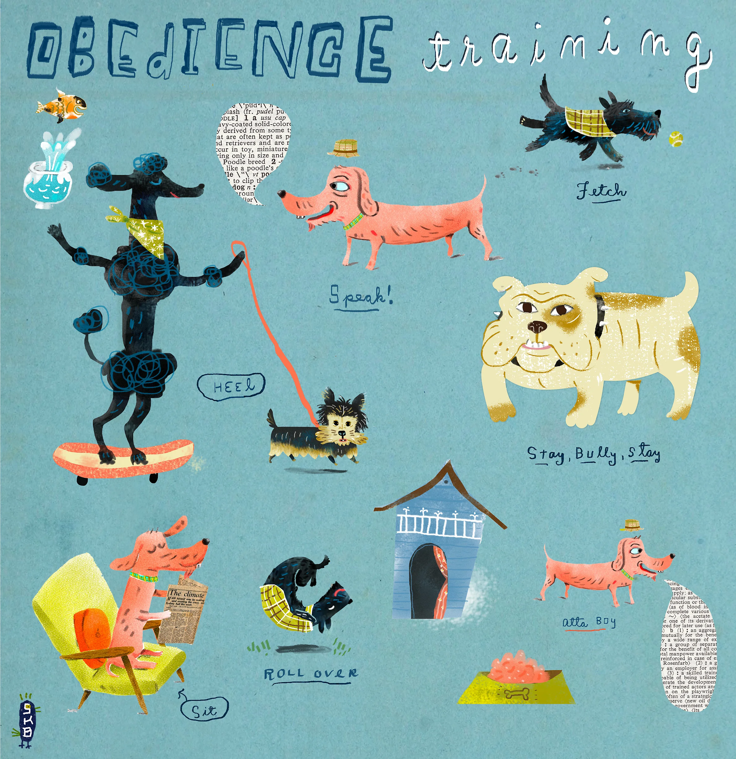 Some stuff your dog oughta know