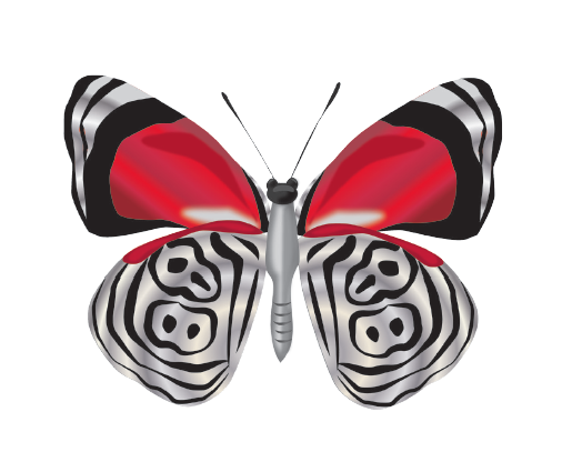 88 Butterfly
