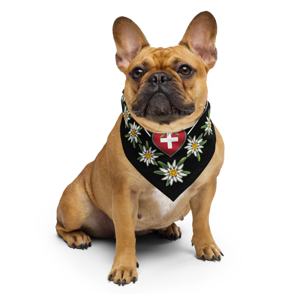 all-over-print-bandana-white-s-front-67f40c1bd8be1.png