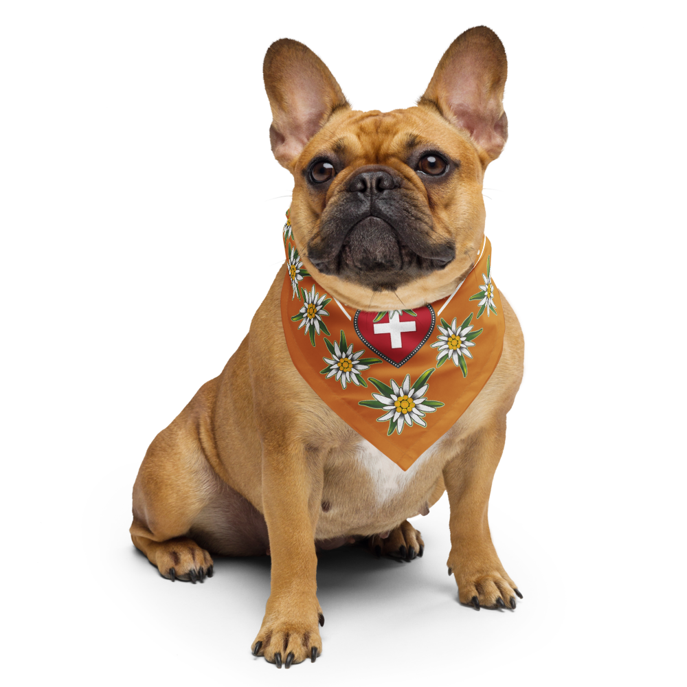 all-over-print-bandana-white-s-front-67f40ff70e8f3.png