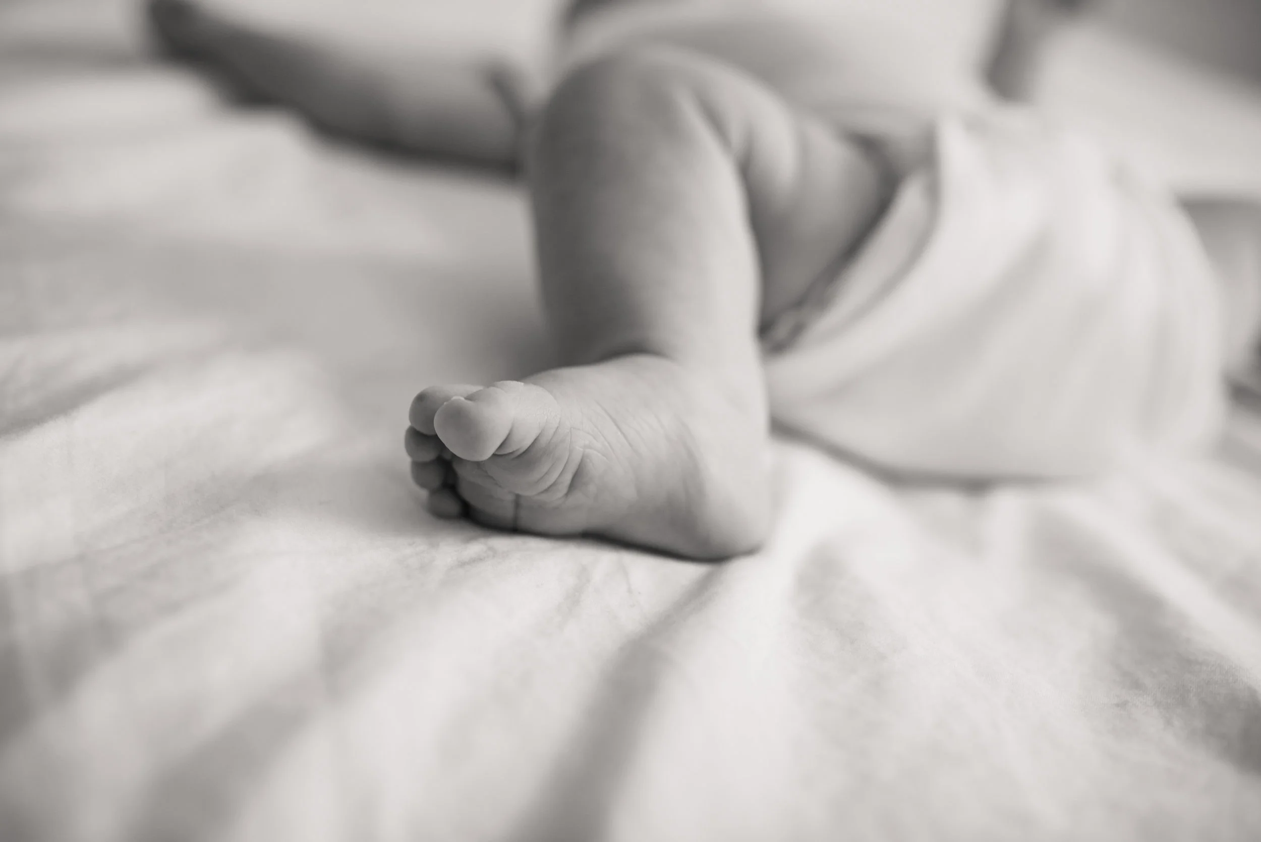 newbornsession-29.jpg