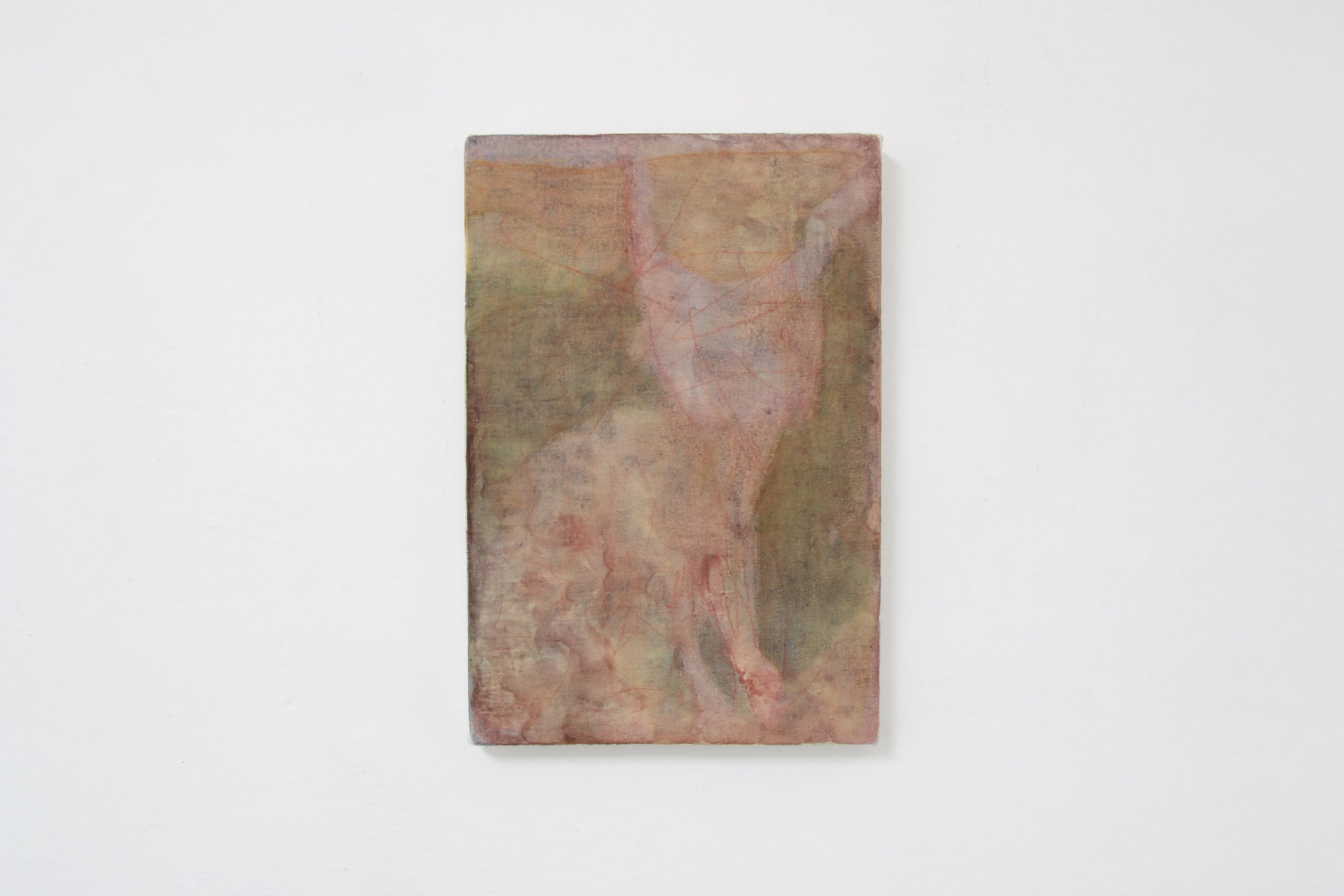   Coyote , 2021, oil on linen mounted on wood, 30.5 x 21 cm / 12 x 8.2 cm 