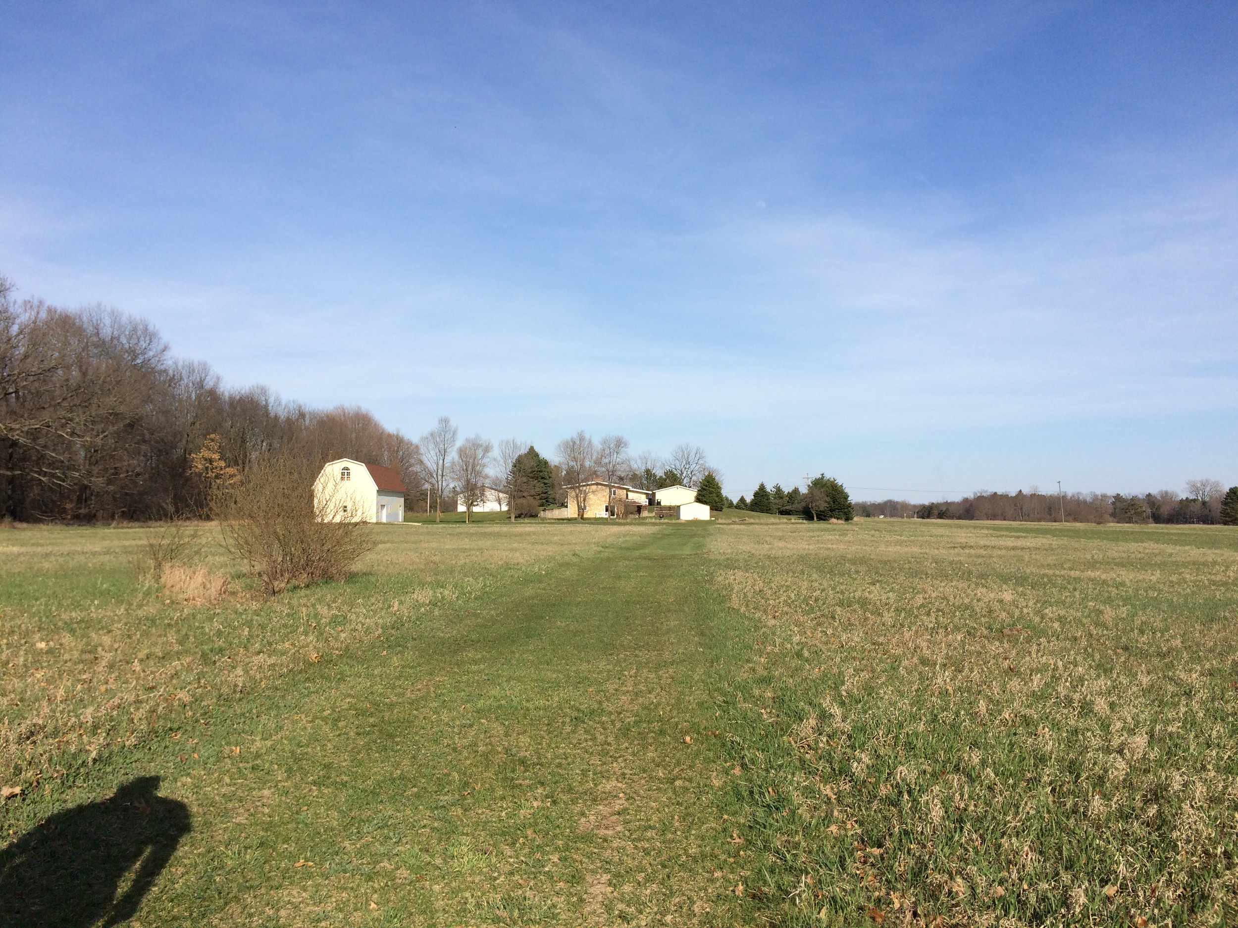 This is the view from the back of our 7 acres to the back of the house and pole barn. 
