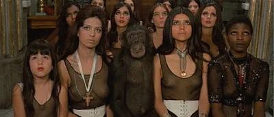 chimp and girls.jpg