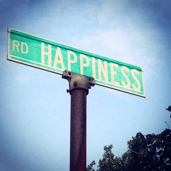 The Road called Happiness